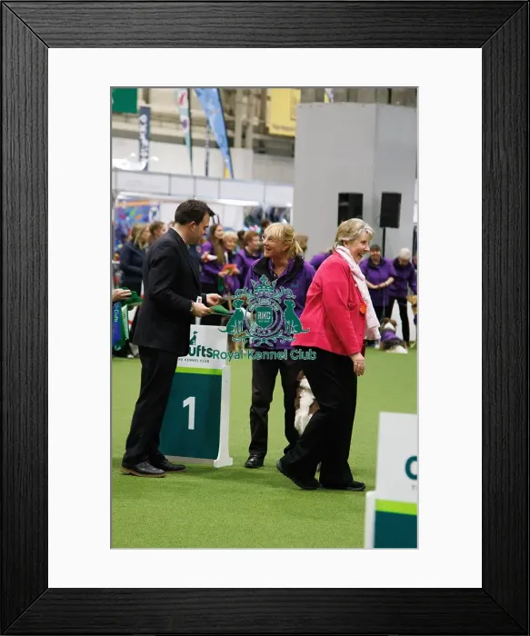 Framed Print : Inter-Regional Obedience Competition Framed Print : Inter-Regional Obedience Competition