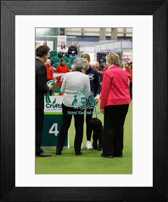 Framed Print : Inter-Regional Obedience Competition Framed Print : Inter-Regional Obedience Competition