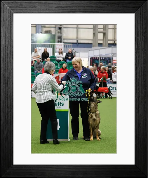 Framed Print : Inter-Regional Obedience Competition Framed Print : Inter-Regional Obedience Competition