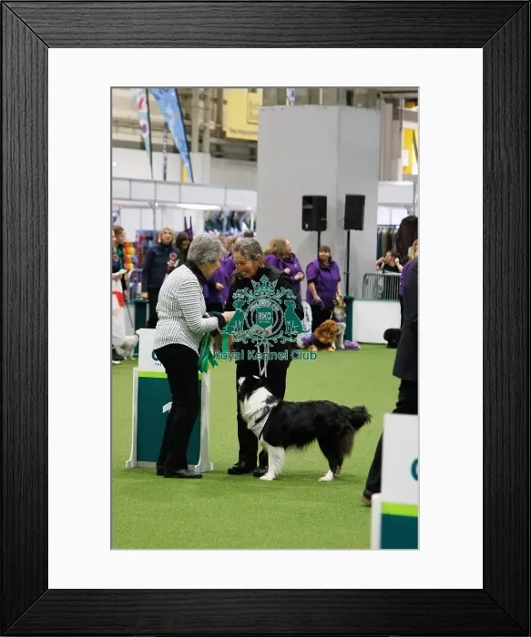 Framed Print : Inter-Regional Obedience Competition Framed Print : Inter-Regional Obedience Competition