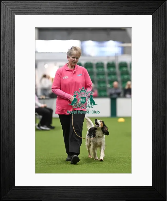 Framed Print : Obedience. Dog - Freddie, Owner - Ava Holloway Framed Print : Obedience. Dog - Freddie, Owner - Ava Holloway