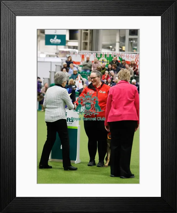 Framed Print : Inter-Regional Obedience Competition Framed Print : Inter-Regional Obedience Competition