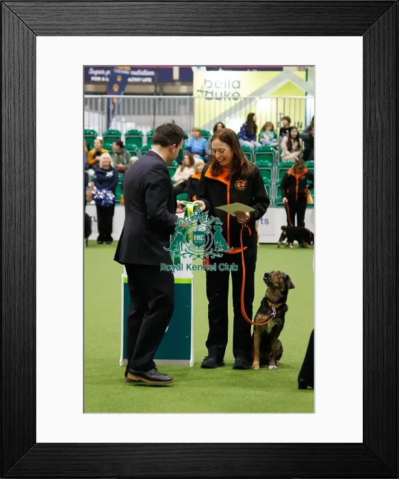 Framed Print : Inter-Regional Obedience Competition Framed Print : Inter-Regional Obedience Competition