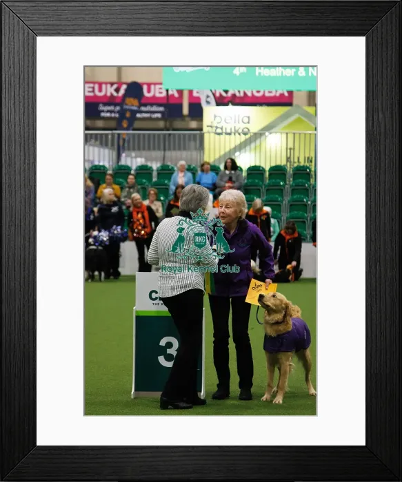 Framed Print : Inter-Regional Obedience Competition Framed Print : Inter-Regional Obedience Competition