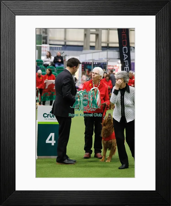 Framed Print : Inter-Regional Obedience Competition Framed Print : Inter-Regional Obedience Competition