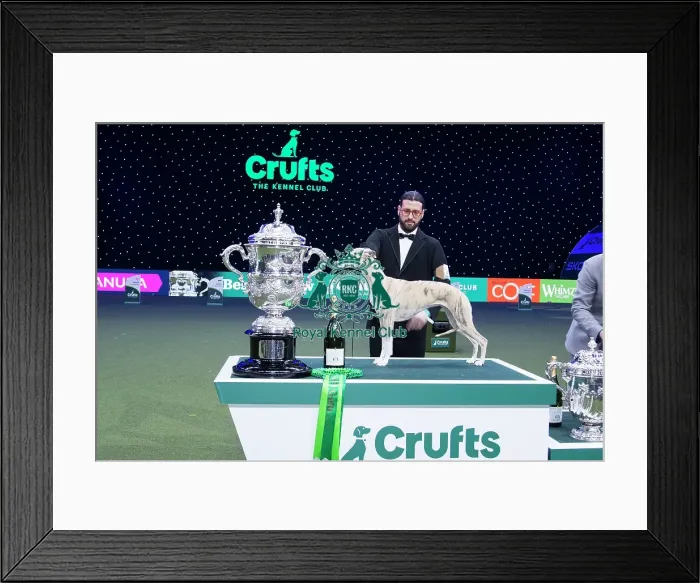 Framed Print : Best in Show Winner