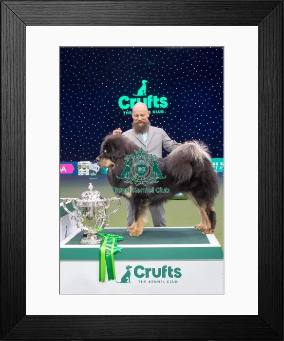 Framed Print : Reserve Best in Show Framed Print : Reserve Best in Show