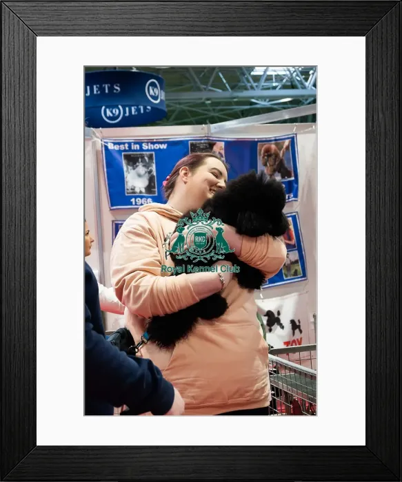 Framed Print : Toy Poodle With Public Discover Dogs Framed Print : Toy Poodle With Public Discover Dogs
