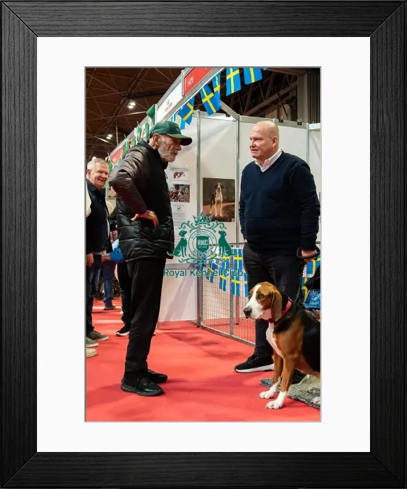 Framed Print : The Hamiltonsvare At Discover Dogs