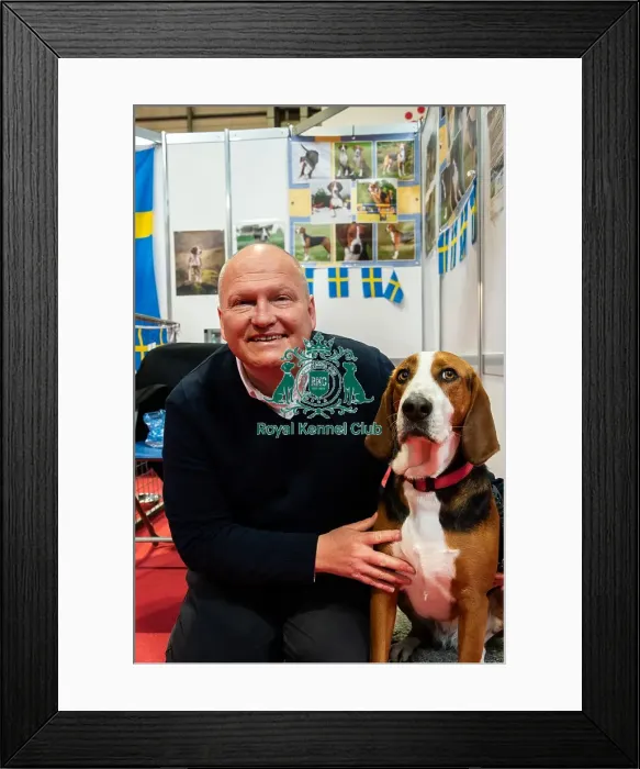 Framed Print : The Hamiltonsvare At Discover Dogs