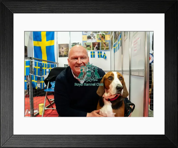 Framed Print : The Hamiltonsvare At Discover Dogs