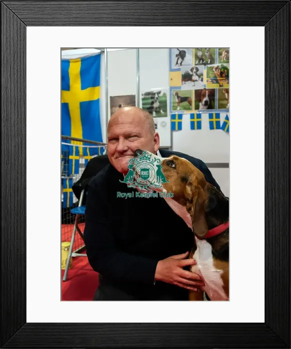 Framed Print : The Hamiltonsvare At Discover Dogs