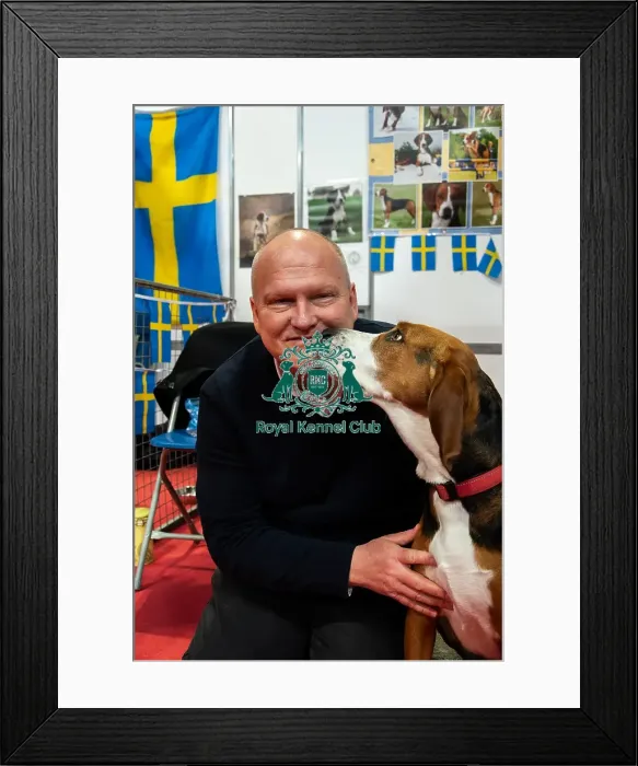 Framed Print : The Hamiltonsvare At Discover Dogs