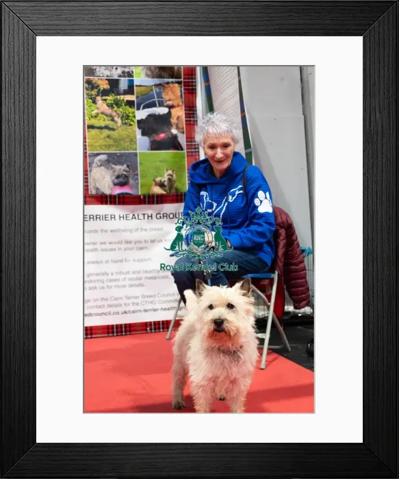Framed Print : Owner with Her Cairn Terrier Discover Dogs