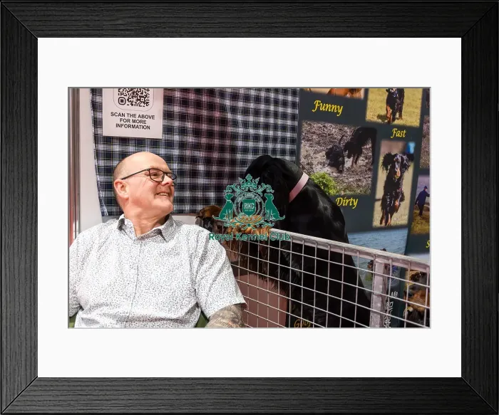 Framed Print : Gordon Setters With Owner Keith Whiting Discover Dogs Framed Print : Gordon Setters With Owner Keith Whiting Discover Dogs