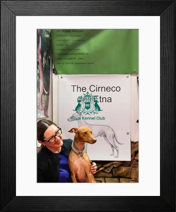 Framed Print : Kyro The Cireco dell'Etna With Owner Caroline Discover Dogs Kyro The Cireco dell'Etna With Owner Caroline Discover Dogs
