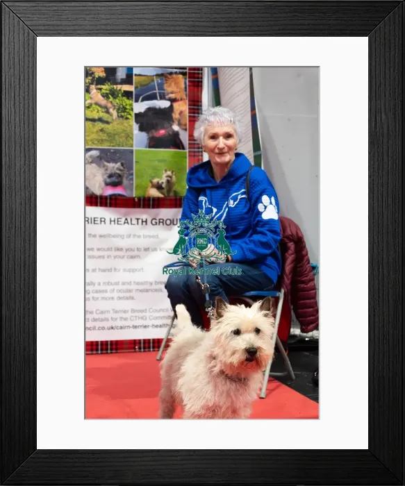 Framed Print : Owner With Her Cairn Terrier Discover Dogs