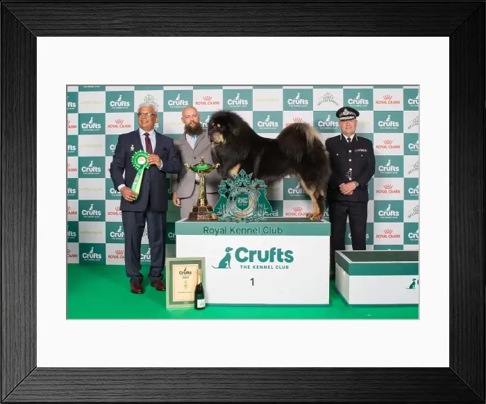 Framed Print : Working Group Winner 1st place 2025 Framed Print : Working Group Winner 1st place 2025