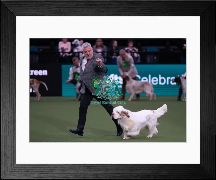 Framed Print : Crufts 2025 Saturday