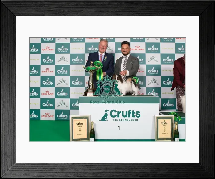 Framed Print : Toy Group winner Framed Print : Toy Group winner