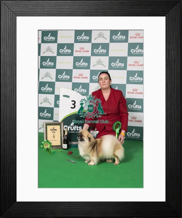 Framed Print : Utility Group 3 Framed Print : Utility Group 3
