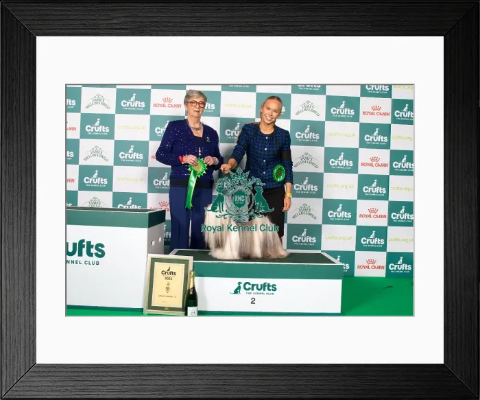 Framed Print : Utility Group 2 Framed Print : Utility Group 2