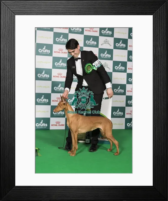Framed Print : Hound Group 4 Framed Print : Hound Group 4