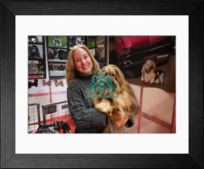 Framed Print : Havanese and owner Discover Dogs Framed Print : Havanese and owner Discover Dogs