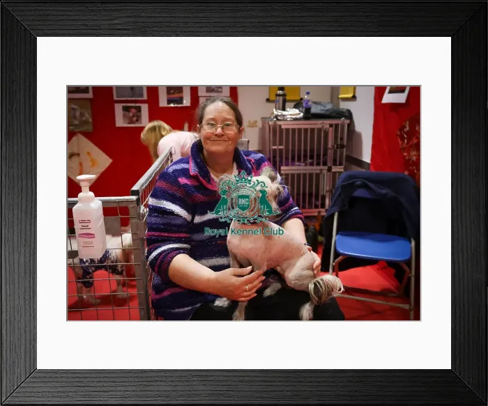 Framed Print : Chinese Crested and owner Discover Dogs Framed Print : Chinese Crested and owner Discover Dogs