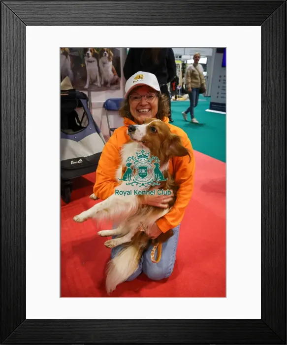 Framed Print : Kooikerhondje with owner at Discover Dogs Framed Print : Kooikerhondje with owner at Discover Dogs