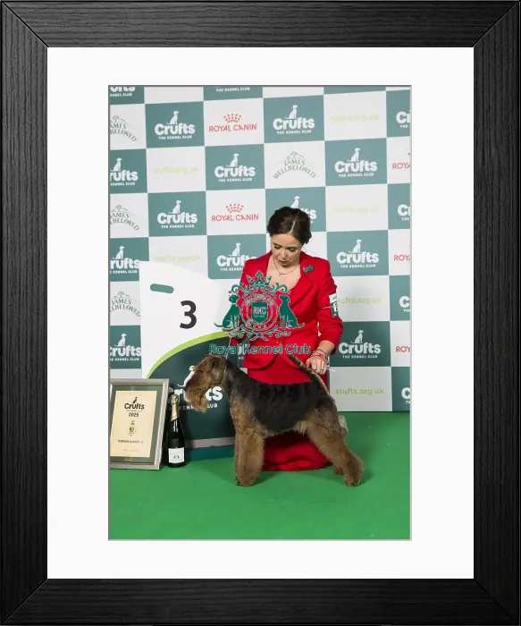 Framed Print : Terrier Group 3 Framed Print : Terrier Group 3