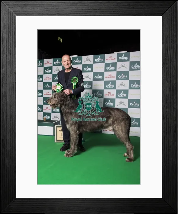 Framed Print : Hound Group 3 Framed Print : Hound Group 3