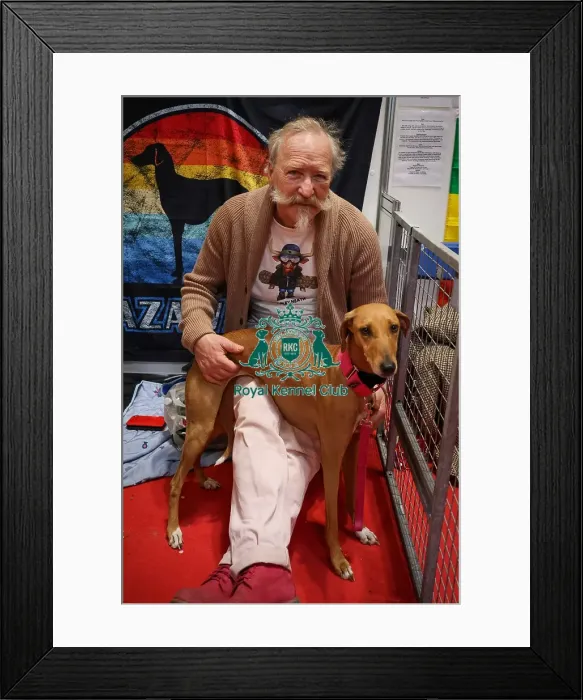 Framed Print : Azawakhs with owner Discover Dogs Framed Print : Azawakhs with owner Discover Dogs