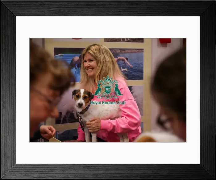 Framed Print : Jack Russell Terrier at Discover Dogs Framed Print : Jack Russell Terrier at Discover Dogs