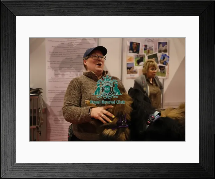 Framed Print : German Spitz Mittel at Discover Dogs Framed Print : German Spitz Mittel at Discover Dogs