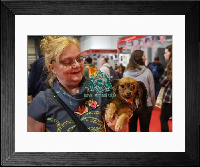 Framed Print : Russian Toy with owner in Discover Dogs Framed Print : Russian Toy with owner in Discover Dogs