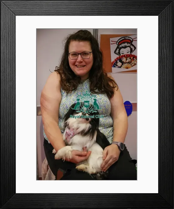 Framed Print : Japanese Chin with owner at Discover Dogs Framed Print : Japanese Chin with owner at Discover Dogs
