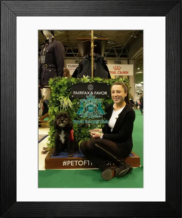 Framed Print : Crufts Trade stand winner 2025 Fairfax and Favor