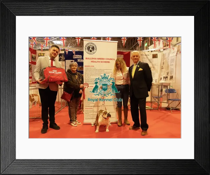 Framed Print : Discover Dogs stand winner, Bulldog Framed Print : Discover Dogs stand winner, Bulldog
