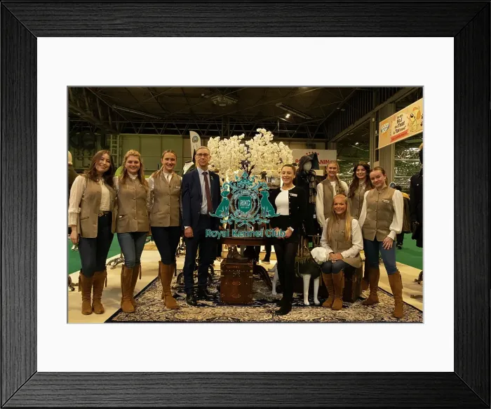 Framed Print : Crufts Trade stand winner 2025 Fairfax and Favor Framed Print : Crufts Trade stand winner 2025 Fairfax and Favor