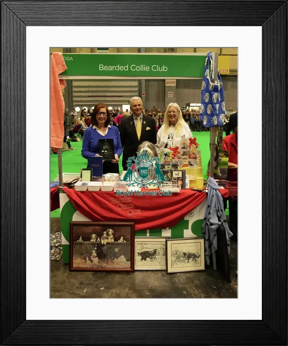 Framed Print : Bearded Collie Best Breed Club Stand