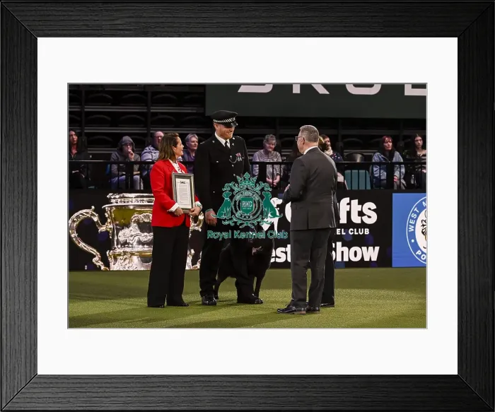Framed Print : Winner of the Police Dog Team Operational & humanitarian Action of the Year Award Toby Spires with Tsar