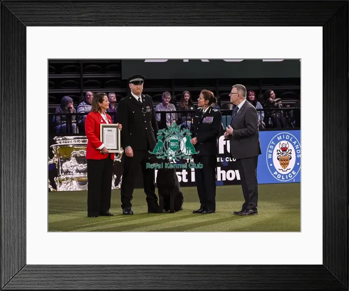 Framed Print : Winner of the Police Dog Team Operational & humanitarian Action of the Year Award Toby Spires with Tsar