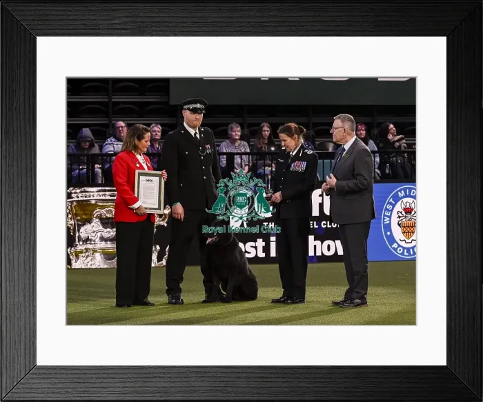 Framed Print : Winner of the Police Dog Team Operational & humanitarian Action of the Year Award Toby Spires with Tsar
