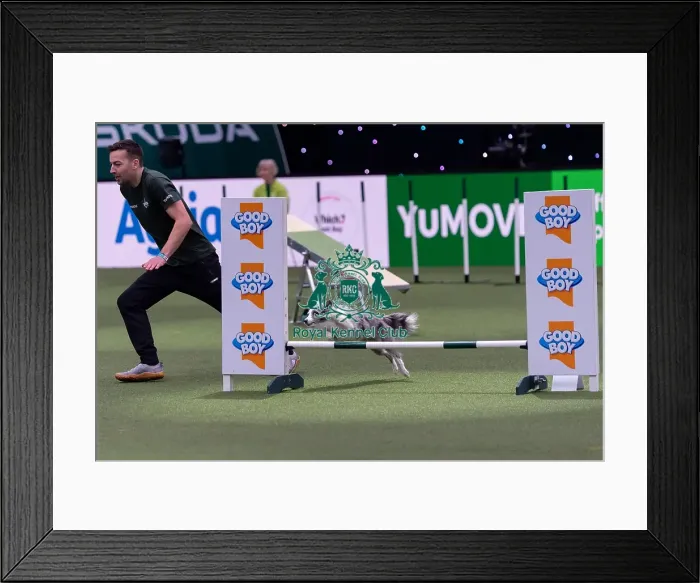 Framed Print : Martin Reid with Selfie Competing in the Small Championship Agility Final