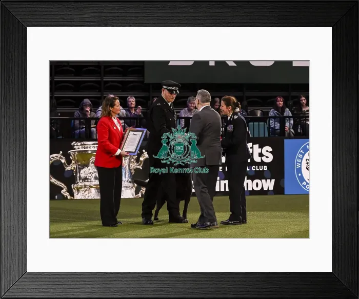 Framed Print : Winner of the Police Dog Team Operational & humanitarian Action of the Year Award Toby Spires with Tsar