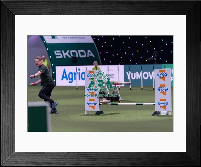 Framed Print : Marc Wingate-Wynne with Snazzy Framed Print : Marc Wingate-Wynne with Snazzy
