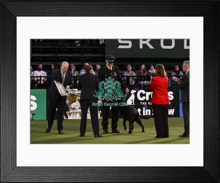 Framed Print : Winner of the Police Dog Team Operational & humanitarian Action of the Year Award Toby Spires with Tsar
