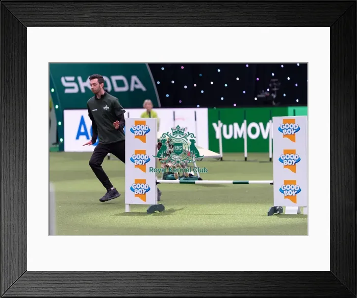 Framed Print : Jamie Wright with Dexter, which was placed fourth in the Medium Championship Agility Final