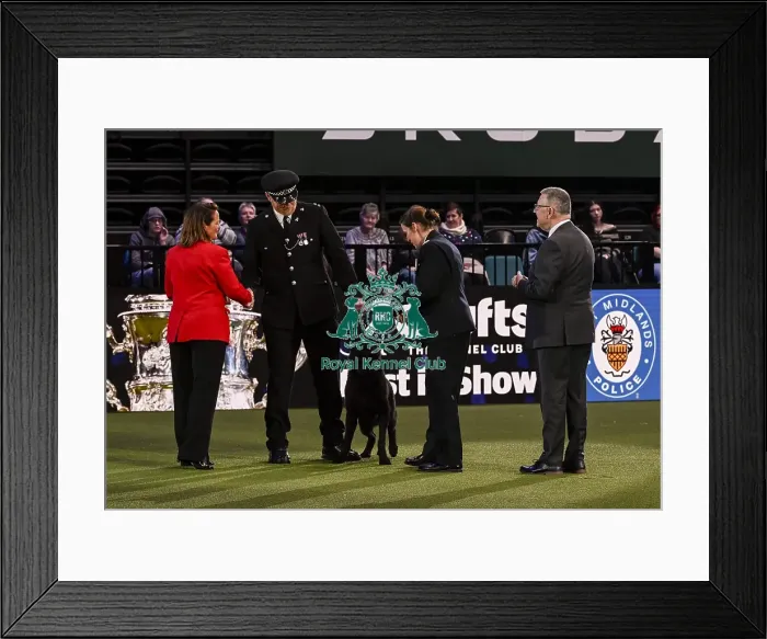 Framed Print : Winner of the Police Dog Team Operational & humanitarian Action of the Year Award Toby Spires with Tsar